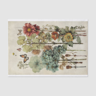 Botanical Flower Illustrations on Parchment No. 6 Tissue Paper