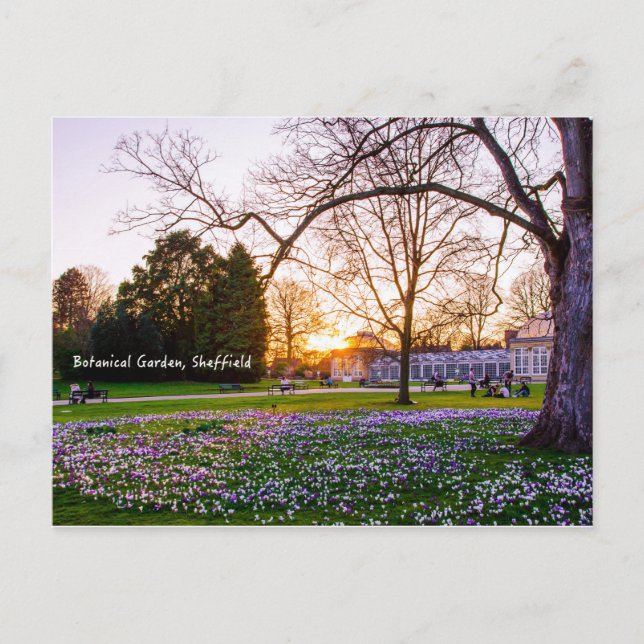 Botanical Garden in Sheffield Postcard (Front)