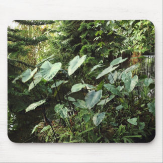 Botanical Garden Mouse Pad