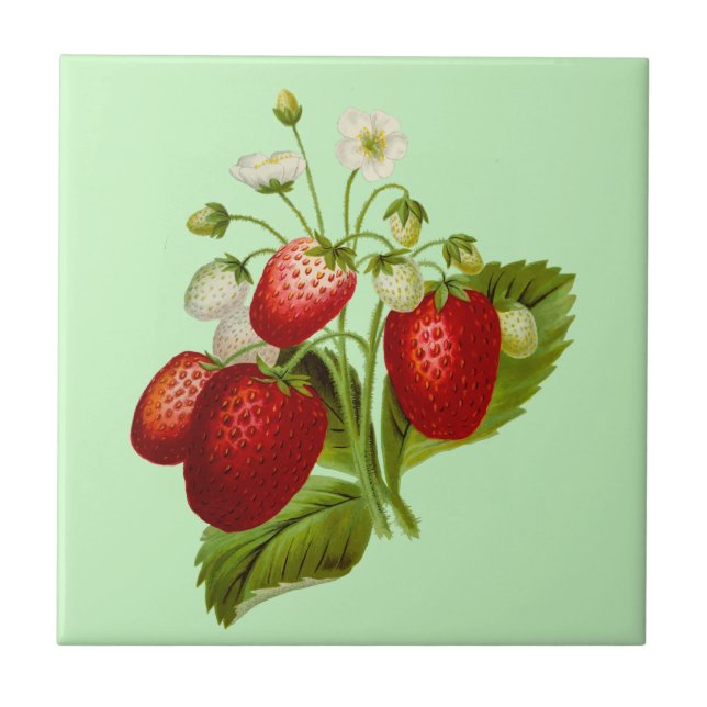 Botanical Garden Strawberry Tile (Front)
