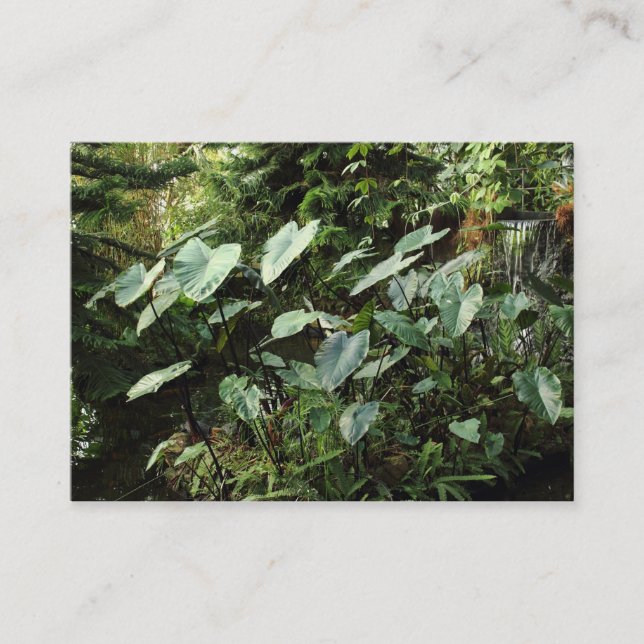 Botanical Gardens Business Card (Front)