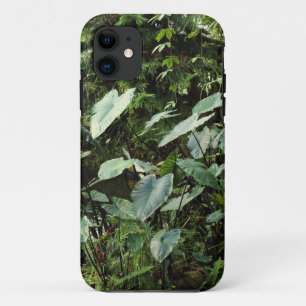 Botanical Gardens iPhone 11 Case