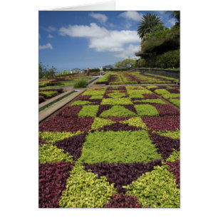 Botanical Gardens, Funchal, Madeira Islands,
