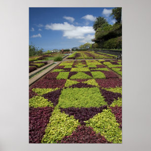 Botanical Gardens, Funchal, Madeira Islands, Poster
