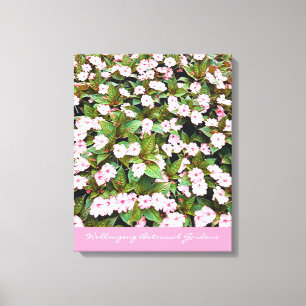 Botanical Gardens pink flowers NSW Canvas Print