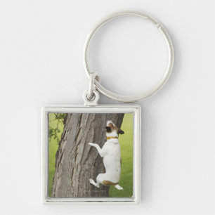 Botanical Gardens, Sydney, New South Wales, 4 Keychain