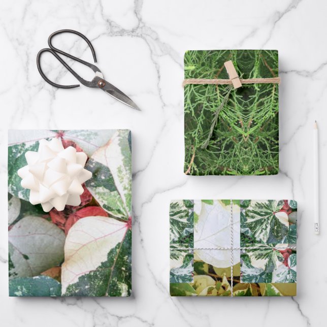 Botanical Gift Wrapping Paper Sheets (Front)