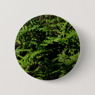 Botanical green Forest Floor Ferns 2 Inch Round Button