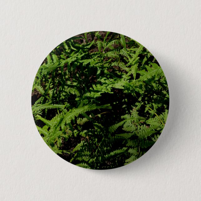 Botanical green Forest Floor Ferns 2 Inch Round Button (Front)