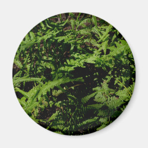 Botanical green Forest Floor Ferns Magnet