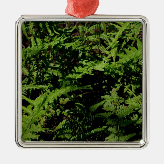 Botanical green Forest Floor Ferns Metal Ornament (Front)