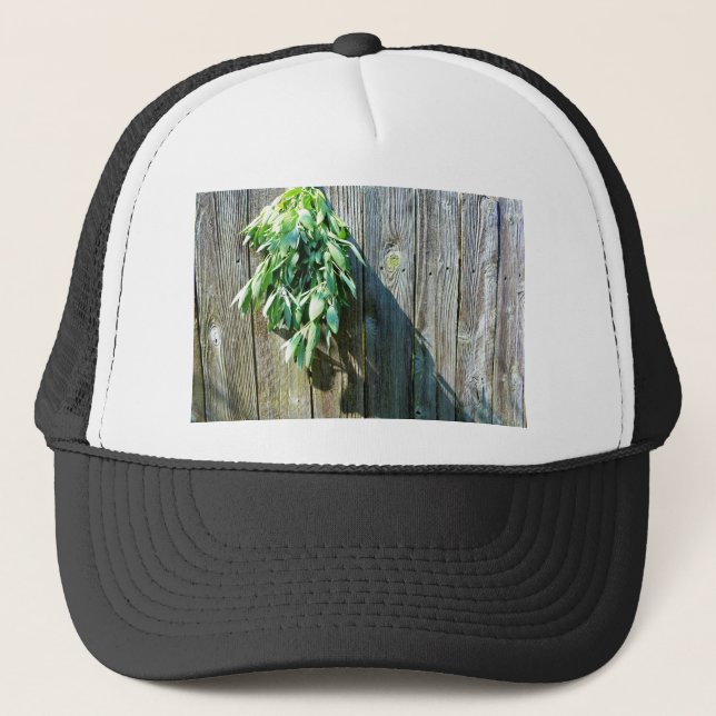 Botanical green herbs distressed wood grain trucker hat (Front)