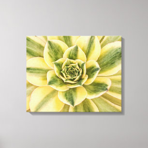 Botanical, Green Succulent photograph on canvas Print