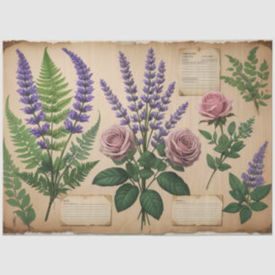 Botanical Herbarium Decoupage Vintage Ferns, Tissue Paper