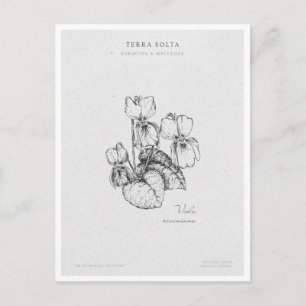 Botanical Illustration 1 'The Awakening of Spring' Postcard