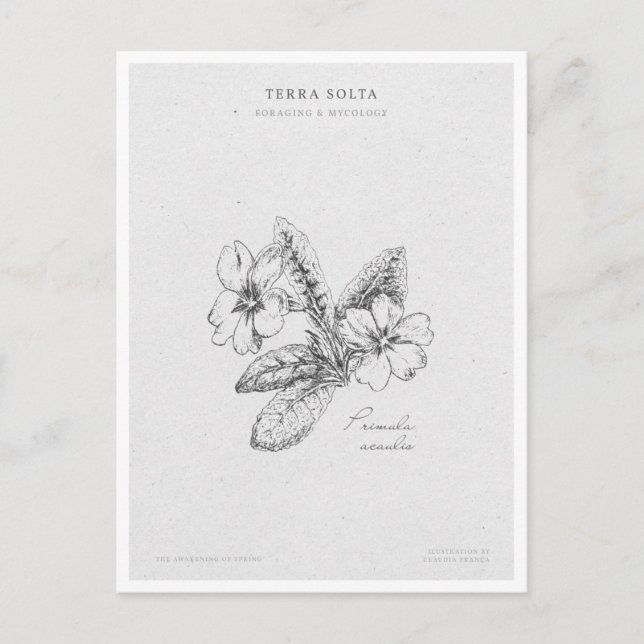 Botanical Illustration 2 'The Awakening of Spring' Postcard (Front)