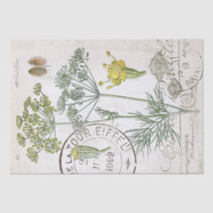 Botanical Illustration Dill French Postmark Craft  Tissue Paper