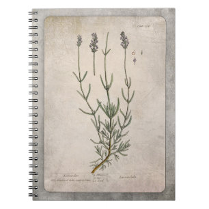 Botanical Illustration Notebook - Lavender