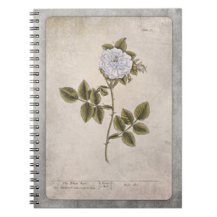 Botanical Illustration Notebook - White Rose