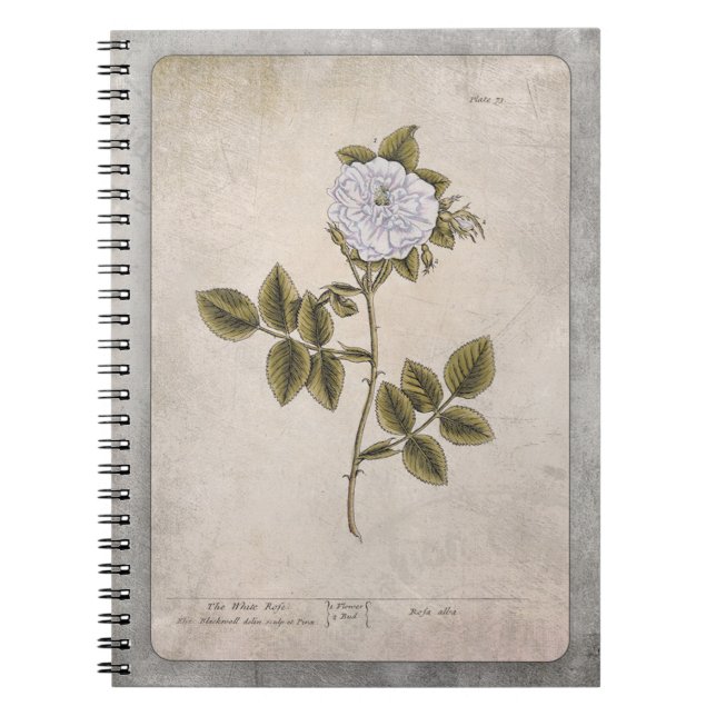 Botanical Illustration Notebook - White Rose (Front)