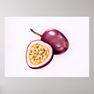 Botanical illustration poster