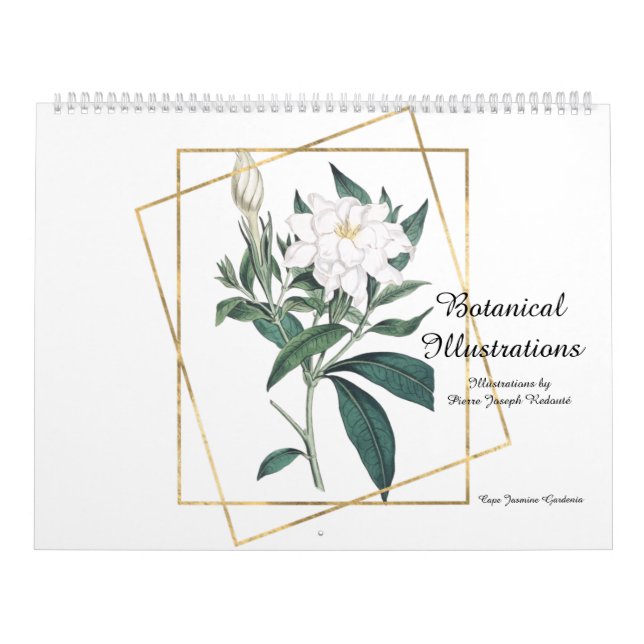 Botanical Illustrations by Pierre-Joseph Redouté Calendar (Cover)