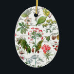 Botanical Illustrations Ceramic Ornament<br><div class="desc">Botanical Illustrations (plants dangereuses). Please visit my store for more interesting design and more colour choice. => .com/colorfulworld*</div>