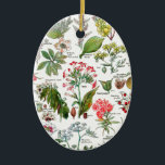 Botanical Illustrations Ceramic Ornament<br><div class="desc">Botanical Illustrations (plants dangereuses). Please visit my store for more interesting design and more colour choice. => .com/colorfulworld*</div>