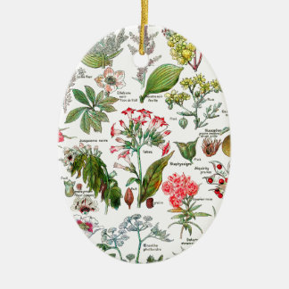 Botanical Illustrations Ceramic Ornament