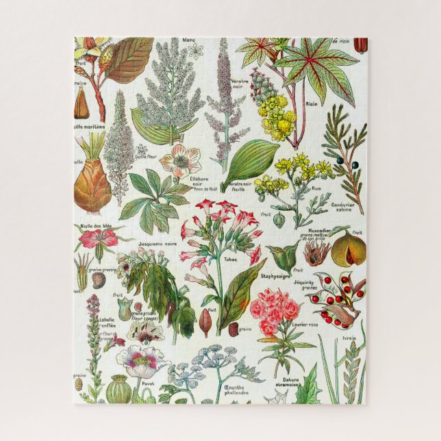 Botanical Illustrations Jigsaw Puzzle (Vertical)