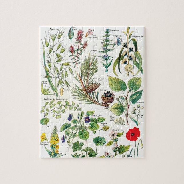 Botanical Illustrations Jigsaw Puzzle (Vertical)