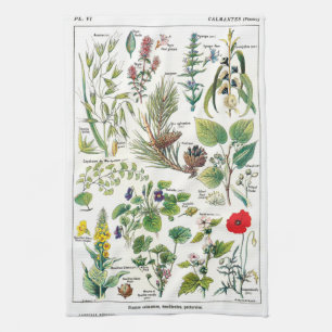 Botanical Illustrations Kitchen Towel