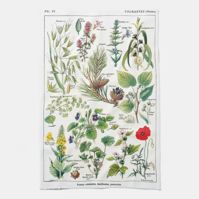 Botanical Illustrations Kitchen Towel (Vertical)