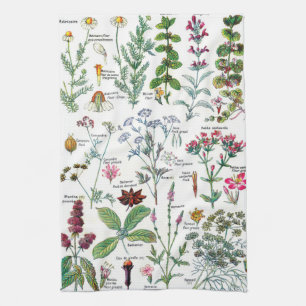 Botanical Illustrations Kitchen Towel