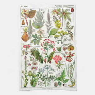 Botanical Illustrations - Larousse Plants Kitchen Towel