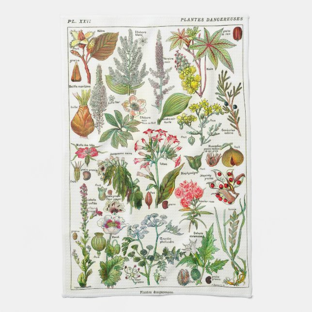 Botanical Illustrations - Larousse Plants Kitchen Towel (Vertical)