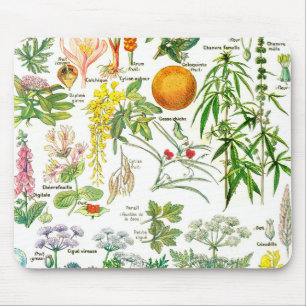 Botanical Illustrations - Larousse Plants Mouse Pad