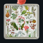 Botanical Illustrations Metal Ornament<br><div class="desc">Botanical Illustrations (plants dangereuses). Please visit my store for more interesting design and more colour choice. => zazzle.com/colorfulworld*</div>