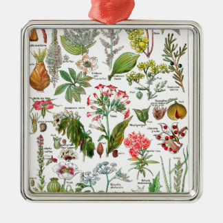 Botanical Illustrations Metal Ornament