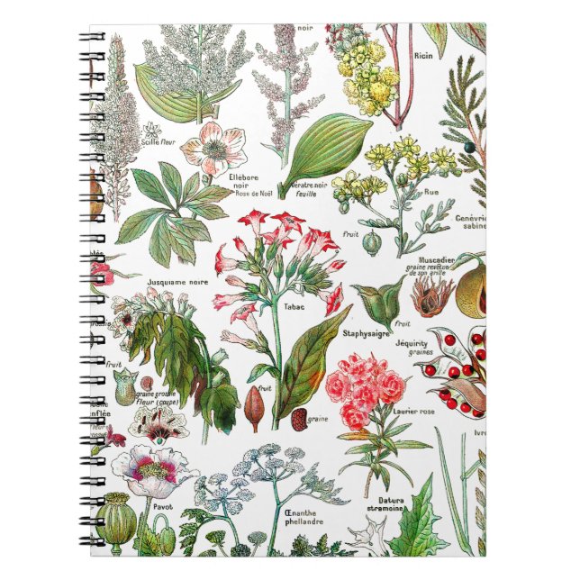 Botanical Illustrations Notebook (Front)