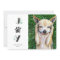 Botanical Joy Paw Print | Pet Photo