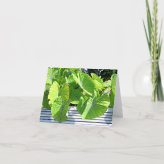 Botanical Leaves Note Card