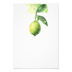 Botanical Lemon Watercolor Art Print-Stage2 Photo Print