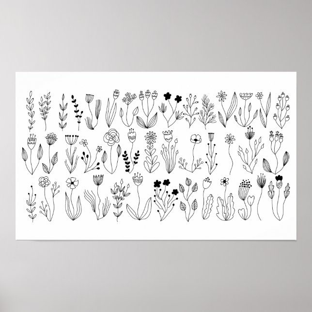 Botanical Line Art Poster (Front)