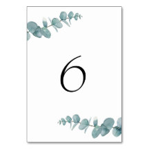 Botanical Minimalist Eucalyptus