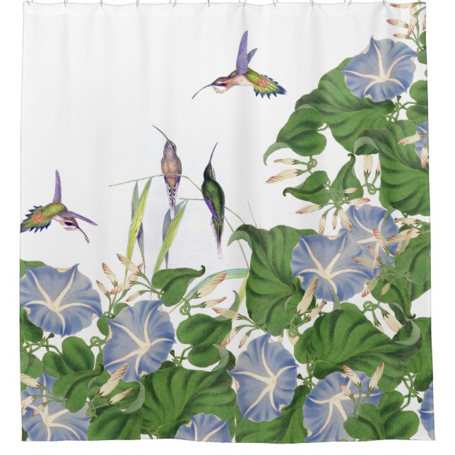 Botanical Morning Glory Flowers Floral Garden (Front)