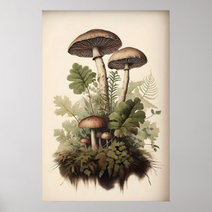 Botanical Mushroom Print, Moss Fern, Vintage Poster