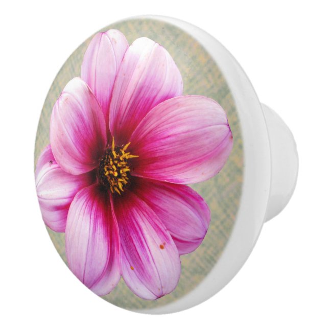 Botanical Pink Dahlia Flower on any Colour Ceramic Knob (Right)