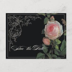 Botanical Pink Rose, Black Save the Date Postcard