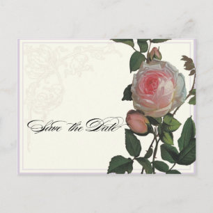 Botanical Pink Rose, Lilac Save the Date Postcard